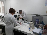 /album/fotogaleria-galeria-fotografica/a14-jpg/