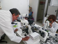 /album/fotogaleria-galeria-fotografica/a15-jpg/