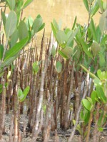 /album/fotogaleria-galeria-fotografica/a17-jpg/