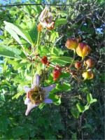 /album/fotogaleria-galeria-fotografica/a20-jpg/