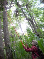 /album/fotogaleria-galeria-fotografica/a28-jpg/