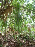 /album/fotogaleria-galeria-fotografica/a29-jpg/