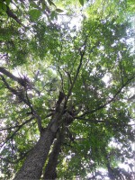 /album/fotogaleria-galeria-fotografica/a30-jpg/