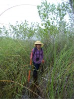 /album/fotogaleria-galeria-fotografica/a33-jpg/