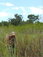 /album/fotogaleria-galeria-fotografica/a34-jpg/