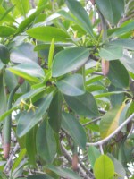 /album/fotogaleria-galeria-fotografica/a38-jpg/