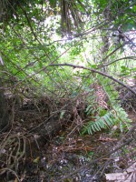 /album/fotogaleria-galeria-fotografica/a39-jpg/