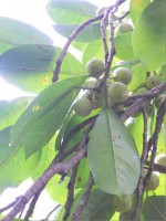 /album/fotogaleria-galeria-fotografica/a42-jpg/