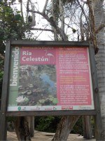 /album/fotogaleria-galeria-fotografica/a45-jpg/