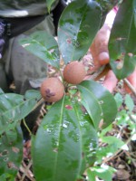 /album/fotogaleria-galeria-fotografica/a49-jpg/