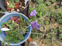 /album/fotogaleria-galeria-fotografica/a51-jpg/