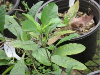 /album/fotogaleria-galeria-fotografica/a53-jpg/