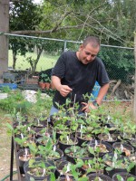 /album/fotogaleria-galeria-fotografica/a54-jpg/